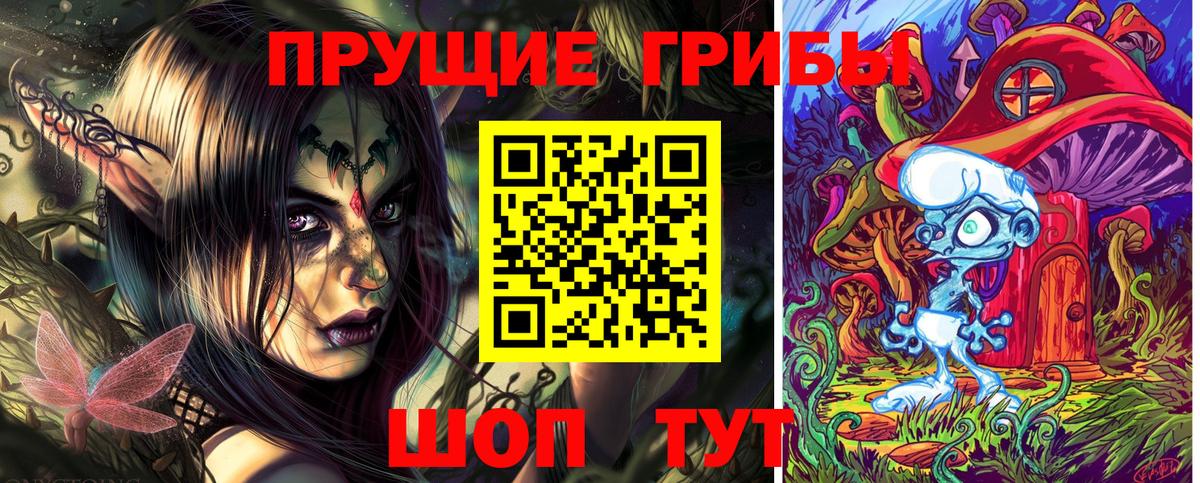 Вичуга  Псилоцибиновые грибы Psilocybine cubensis  Вход с VPN 